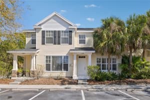 12304 Country White Cir, TAMPA