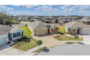 31364 Tansy Bnd, WESLEY CHAPEL