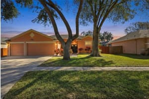 10455 Ashley Oaks Dr, RIVERVIEW