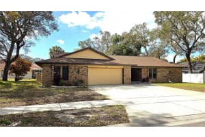 2890 Armadillo Dr, PALM HARBOR 2890 Armadillo Dr, PALM HARBOR
