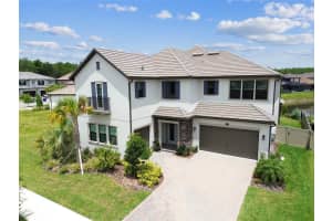 29895 Picana Ln, WESLEY CHAPEL