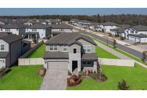 33287 Sycamore Leaf Dr, WESLEY CHAPEL