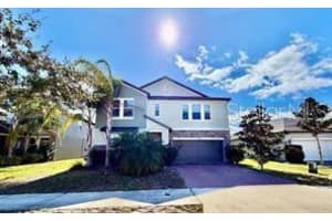 25118 Lambrusco Loop, LUTZ 25118 Lambrusco Loop, LUTZ