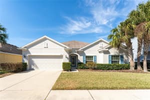 11218 Coventry Grove Cir, LITHIA 11218 Coventry Grove Cir, LITHIA