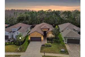 1053 Ketzal Dr, TRINITY