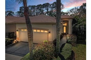 1532 Woodstream Dr, OLDSMAR 1532 Woodstream Dr, OLDSMAR