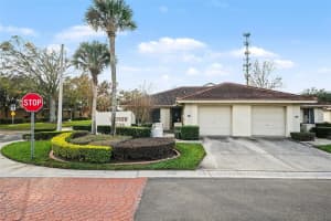 18302 Aintree Ct, TAMPA