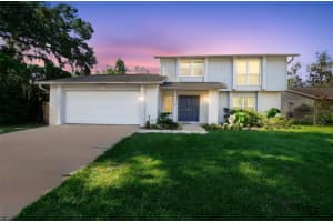 6107 Oak Fern Ct, TEMPLE TERRACE