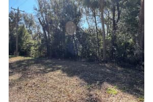 Palacky St, BROOKSVILLE