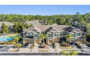 12537 Silverdale St, TAMPA 12537 Silverdale St, TAMPA