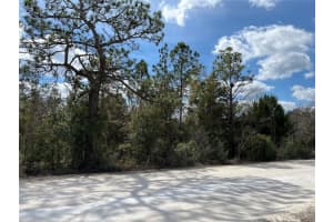 12270 Peaceful Ave, WEEKI WACHEE