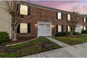 13747 Juniper Blossom Dr, TAMPA