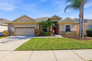 3235 Grassglen Pl, WESLEY CHAPEL