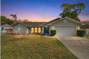 2715 Berryknoll Pl, VALRICO