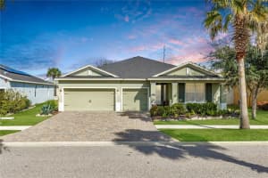 11530 Lake Lucaya Dr, RIVERVIEW