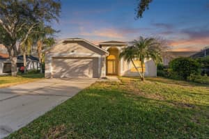 8506 Tiara Park Way, TAMPA