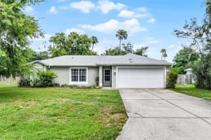2709 Needle Palm Dr, EDGEWATER