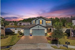 5026 Tivoli Dr, WESLEY CHAPEL