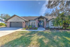 3809 Buckingham Loop Dr, VALRICO