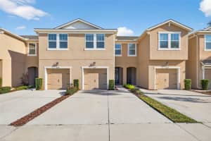 6227 Scarlet Darter Way, TAMPA 6227 Scarlet Darter Way, TAMPA