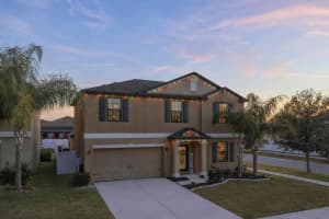 11201 Leland Groves Dr, RIVERVIEW