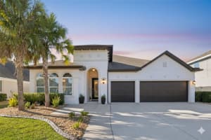 1781 Tonka Ter, WESLEY CHAPEL