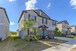 15541 Colt Creek Pl, SUN CITY CENTER