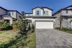 5828 Timberdale Ave, WESLEY CHAPEL