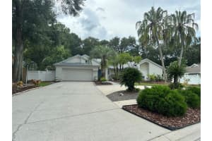 914 Stratford Manor Dr, BRANDON