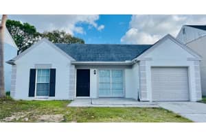 11009 Summer Dr, TAMPA 11009 Summer Dr, TAMPA