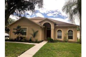 10312 Birdwatch Dr, TAMPA