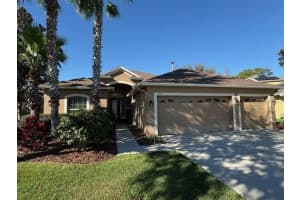 3347 Diamond Falls Cir, LAND O LAKES