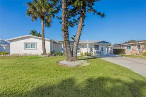 3926 Fontainebleau Dr, TAMPA