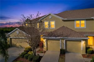 11273 Kapok Grand Cir, MADEIRA BEACH