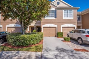 6607 Shining Sun Ct, TAMPA