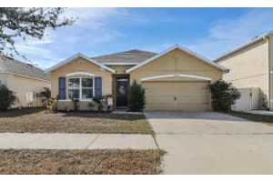 12003 Ledbury Commons Dr, GIBSONTON