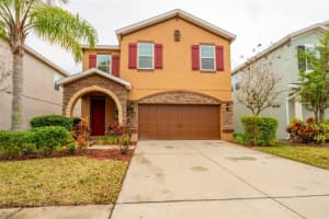 15537 Long Cypress Dr, RUSKIN