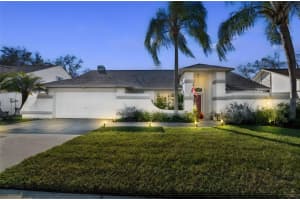 15830 Glenarn Dr, TAMPA