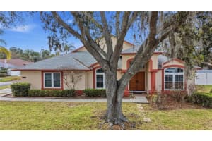 10005 Katie Ct, TAMPA