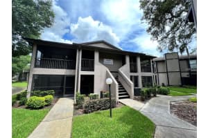 4015 Angel Oak Ct #203, TAMPA