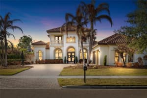 16406 Chapman Crossing Dr, LITHIA