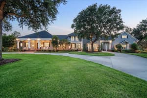 11441 Hammock Oaks Ct, LITHIA