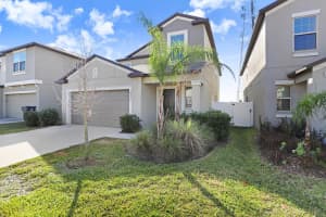 10256 Carloway Hills Dr, WIMAUMA