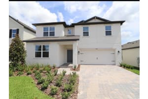 31903 Sapna Chime Dr, WESLEY CHAPEL