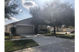 17344 Cricket Chirp Loop, LAND O LAKES 17344 Cricket Chirp Loop, LAND O LAKES