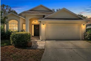 19014 Chemille Dr, LUTZ 19014 Chemille Dr, LUTZ