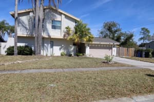 15401 Deerglen Dr, TAMPA