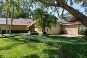 3071 Bolt Dr, PALM HARBOR 3071 Bolt Dr, PALM HARBOR