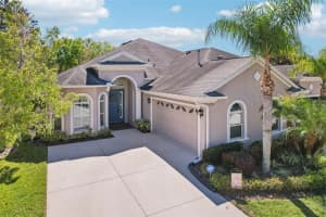 2916 Devonoak Blvd, LAND O LAKES