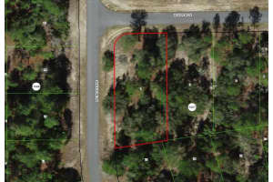 2896 W Huron Ln, DUNNELLON